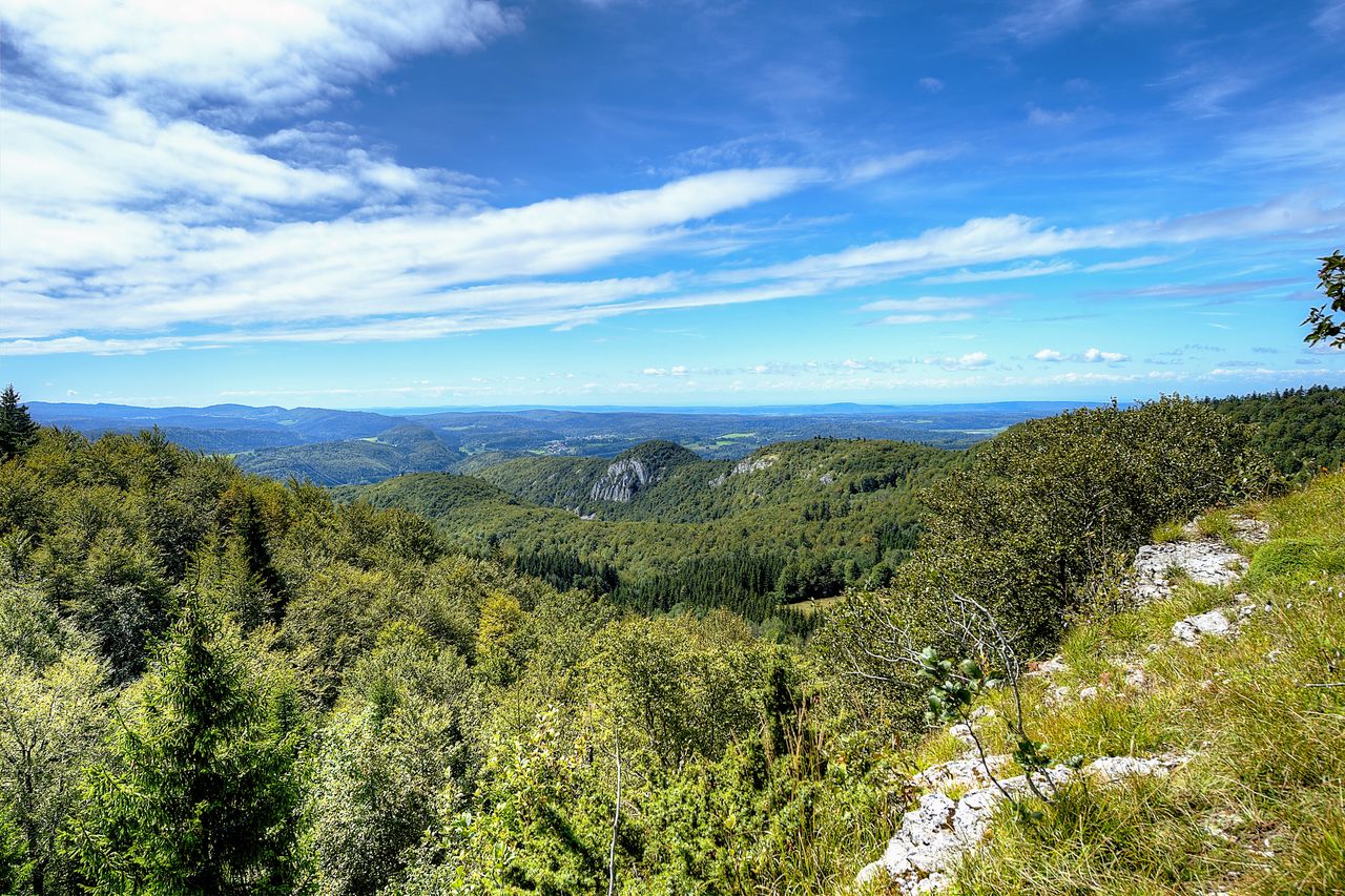Paysage Belvédère du Bulay FoncineH-0023